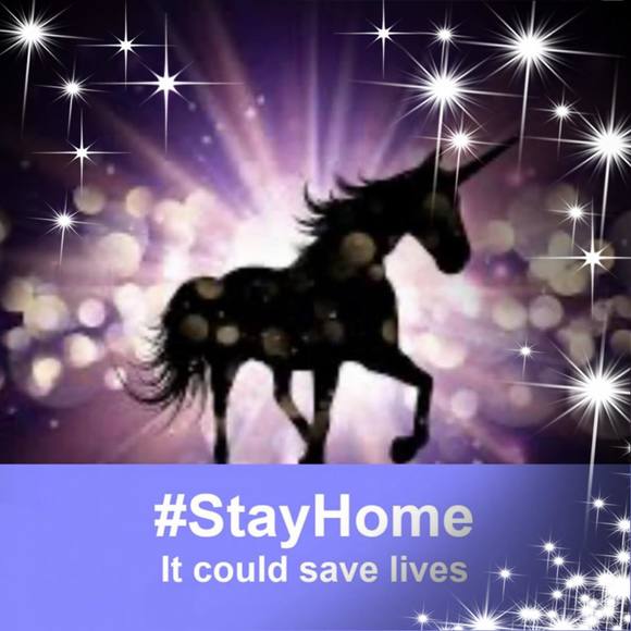 Meet your Posher, Sophia - Picture 1 of 1